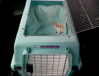 Fleece blanket in pet carrier